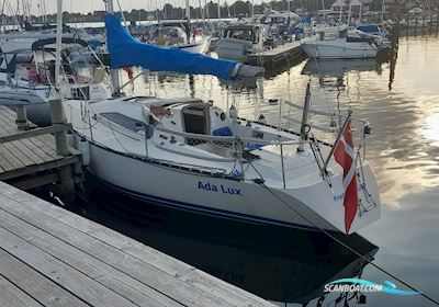 X-102 X-Yachts Segelboot 1981, mit Yanmar motor, Dänemark