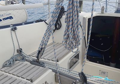 X-102 X-Yachts Segelboot 1981, mit Yanmar motor, Dänemark
