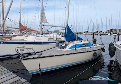 X-79 X-Yachts Segelboot 1984, mit Tohatsu motor, Deutschland