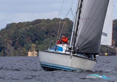 X-79 X-Yachts Segelboot 1984, mit Tohatsu motor, Deutschland