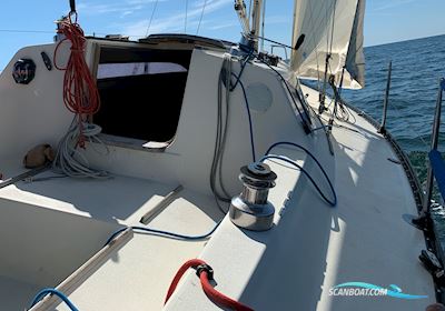 X99 Segelboot 1986, mit Buhk motor, Dänemark