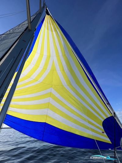 Xc 50 - X-Yachts Segelboot 2022, Dänemark