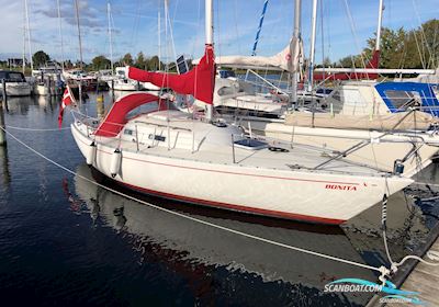 Albin Accent 26 Sejlbåd 1978, med Yanmar motor, Danmark