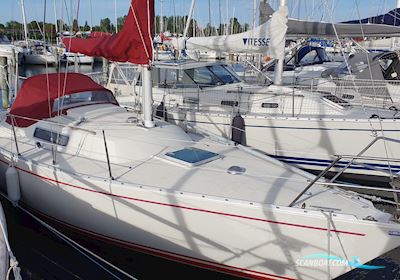 Albin Alpha 29 Sejlbåd 1989, med Yanmar 10 motor, Danmark