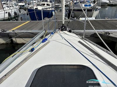 Albin Scampi MK IIII Sejlbåd 1979, med Lombardini motor, England