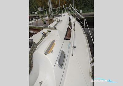 Atlantic 31 Sejlbåd 1991, med Perkins Perama<br />M20 motor, Holland