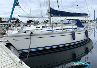 Bavaria 30  Sejlbåd 1988, med Volvo Penta 2002 motor, Danmark