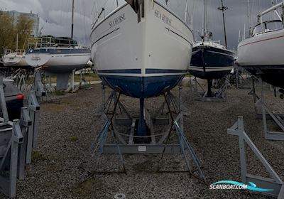 Bavaria 32 Cruiser - Rätt Utrustning & Nyare Motor Sejlbåd 2003, med Vetus motor, Sverige