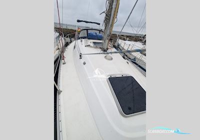 Bavaria 32 Holiday Sejlbåd 1996, med Volvo Penta motor, Tyskland