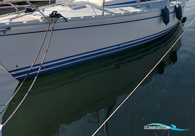 Bavaria 38 Caribic Sejlbåd 1992, med Volvo Penta 2003 motor, Danmark