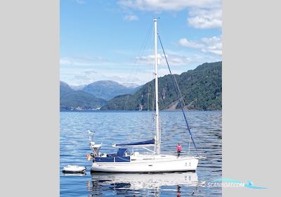 Bavaria 38 Cruiser Sejlbåd 2008, Tyskland