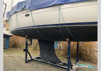 Bavaria 38 Cruiser Sejlbåd 2008, Tyskland