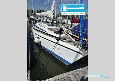 Bavaria 890 Sejlbåd 1983, med Volvo Penta motor, Holland
