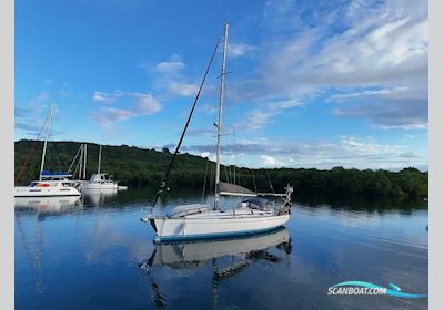 Bavaria Cruiser 50 Sejlbåd 2002, med Volvo Penta motor, Ej oplyst