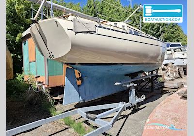 Bayfield 29 Sejlbåd 1981, med Yanmar motor, Holland