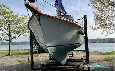 Beneteau Evasion 28 Sejlbåd 1978, med Nanni
 motor, Danmark