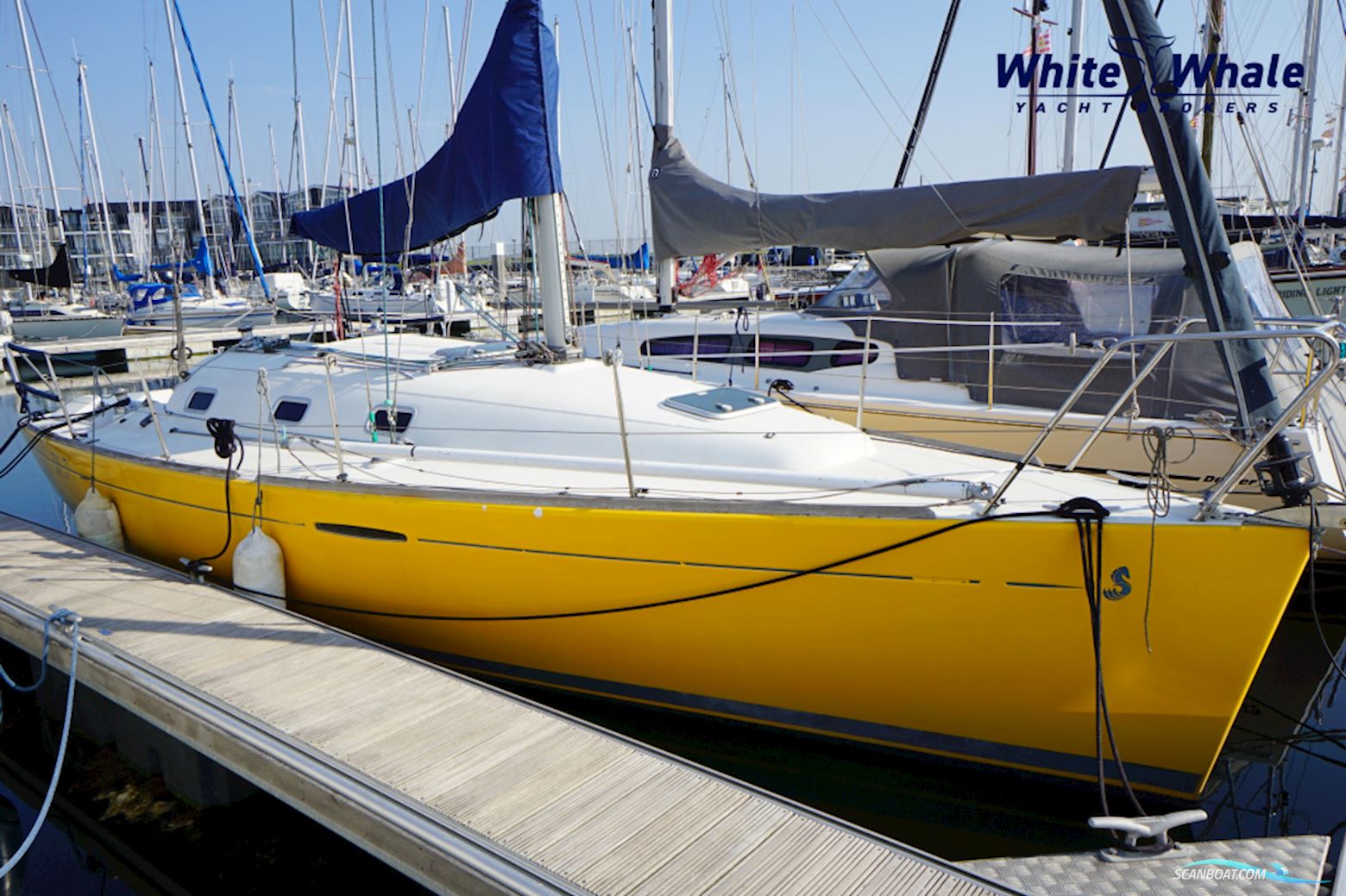 Beneteau First 31.7 Sejlbåd 2000, med Volvo Penta motor, Holland