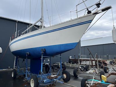 Bianca 111, 1986 - Strandby Sejlbåd 1985, med 20-03 motor, Danmark