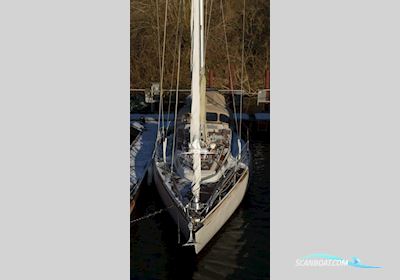 Bianca Commander 31 Sejlbåd 1973, med Nanni motor, Tyskland