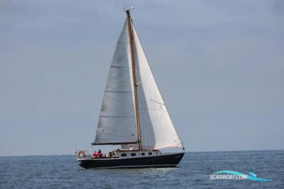 Blauwvoet Custom Steel 10 Meter Sejlbåd 1969, med Bukh motor, Holland