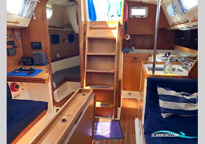 CS Yachts 36 Merlin Sejlbåd 1987, Holland