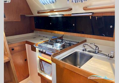 CS Yachts 36 Merlin Sejlbåd 1987, Holland