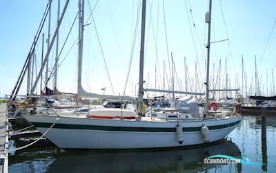 Carena 36 Ketch Sejlbåd 1976, med Yanmar  motor, Holland