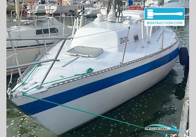 Carter 30 Sejlbåd 1979, med Volvo Penta motor, Litauen