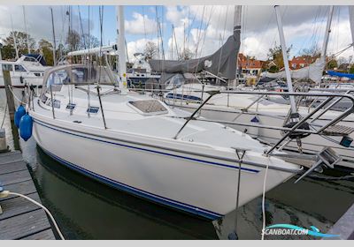 Catalina 30 MKII Sejlbåd 1994, med Universal motor, Holland