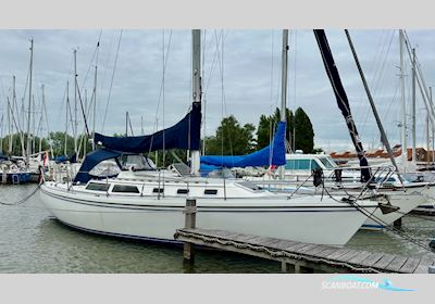 Catalina 34 Sejlbåd 1990, med Universal motor, Holland