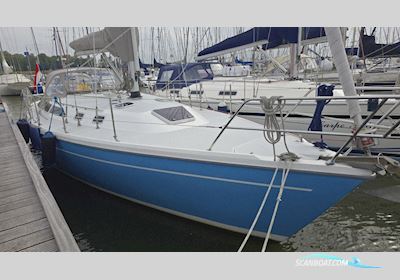 Catalina 36 Sejlbåd 1996, med Universal motor, Holland