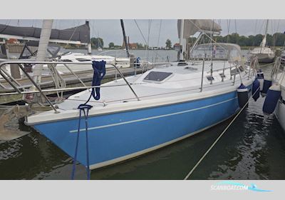 Catalina 36 Sejlbåd 1996, med Universal motor, Holland