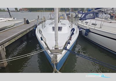 Catalina 36 Sejlbåd 1996, med Universal motor, Holland