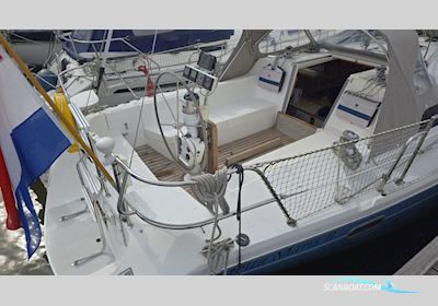Catalina 36 Sejlbåd 1996, med Universal motor, Holland