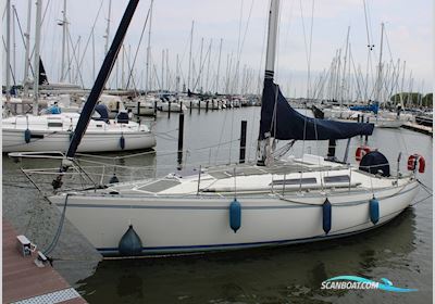 Colvic Liberator 35 Sejlbåd 1981, med Solé motor, Holland