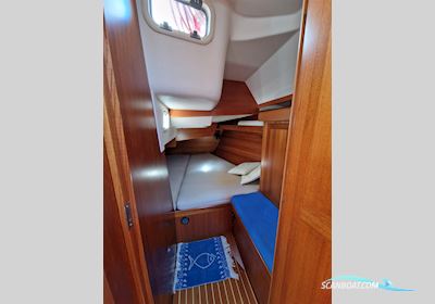 Comfort Batar Comfortina 42 Sejlbåd 2006, med Volvo Penta D2 55 motor, Italien