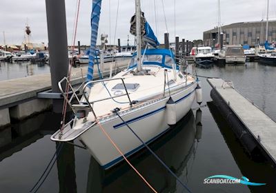 Comfortina 32 Sejlbåd 1984, med Vetus M3.09 motor, Danmark