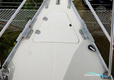 Comfortina 32 Sejlbåd 1984, med Vetus M3.09 motor, Danmark