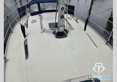 Comfortina 32 Sejlbåd 1986, med Volvo Penta motor, Danmark