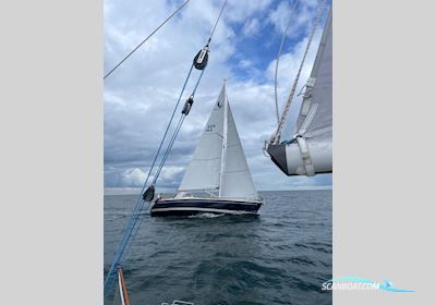 Comfortina 35 Sejlbåd , med Yanmar 3GM30FC motor, Tyskland