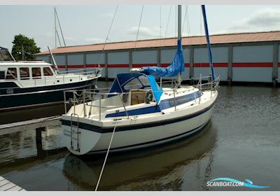 Compromis 777 777 Sejlbåd 1982, med Volvo Penta motor, Holland