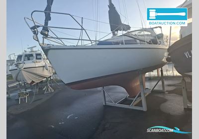 Compromis 850AK Sejlbåd 1982, med Bukh motor, Holland