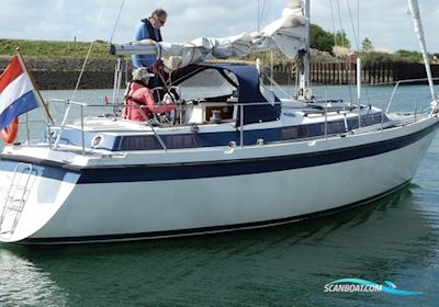 Compromis 999 Sejlbåd 1989, med Yanmar motor, Holland