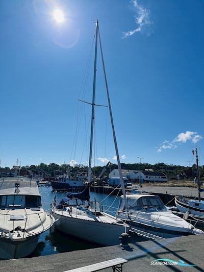 Contessa 35 Sejlbåd 1978, med Yanmar 3GM30F motor, Danmark
