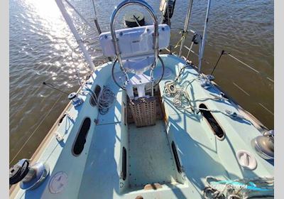 Contessa 38 Sejlbåd 1982, med Watermota Sea Panther Bobtail motor, England