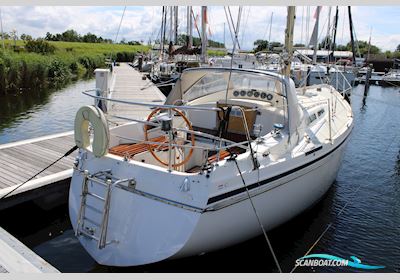 Contest 31 HT Sejlbåd 1984, med Volvo Penta motor, Holland