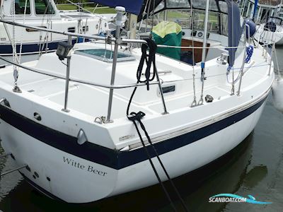 Contest 32 CS Sejlbåd 1978, med Volvo Penta motor, Holland