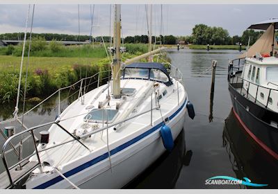 Conyplex Contest 36 Sejlbåd , med Volvo Penta MD17 motor, Holland