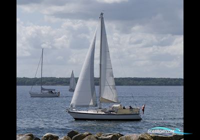 D.P. Doug Peterson 31 Sejlbåd 1977, med Yanmar 3YM30 F/W K. motor, Danmark