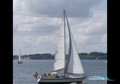 D.P. Doug Peterson 31 Sejlbåd 1977, med Yanmar 3YM30 F/W K. motor, Danmark